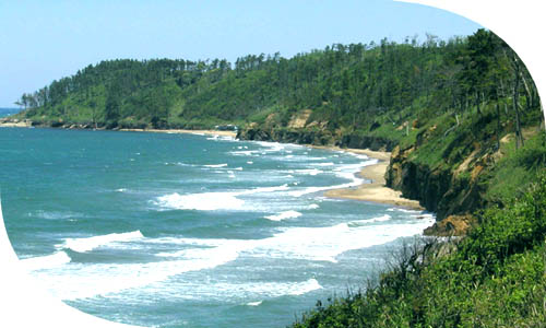 �C�ݒf�R�Ɠ��{�C