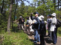 ��،������̉���𕷂��Ȃ���A����C�݂̐A�����ώ@�B