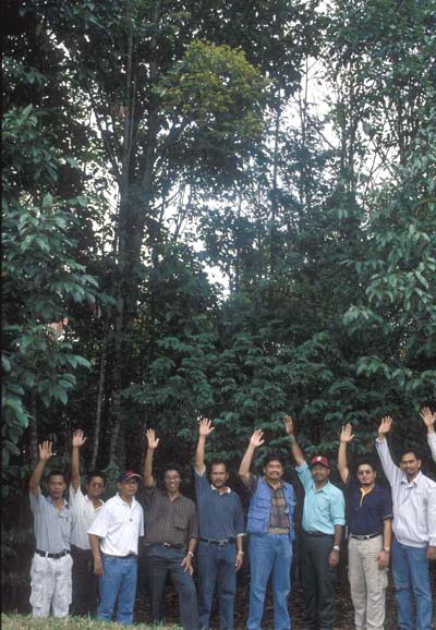 �����A10�N12���ȏ�ɐ��������؁X�i�}���[�V�A�A�r���c���@2001�N�W���j