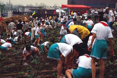 ���E���̏����w�����܂߂�1,200�l�łP���Ԃ�15,000�{�A���ՁB�~��������